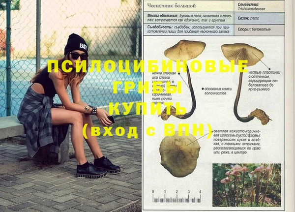 эйфоретик Балабаново
