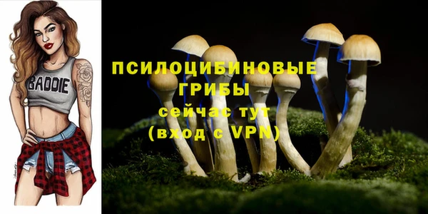 хмурый Дмитриев